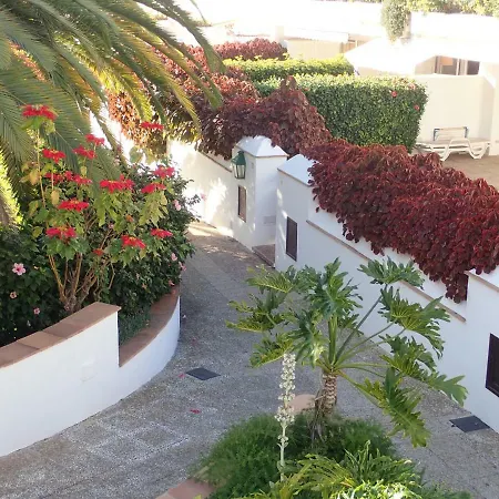 Ferienwohnung The Bird'S Nest Puerto de la Cruz  Exterior foto