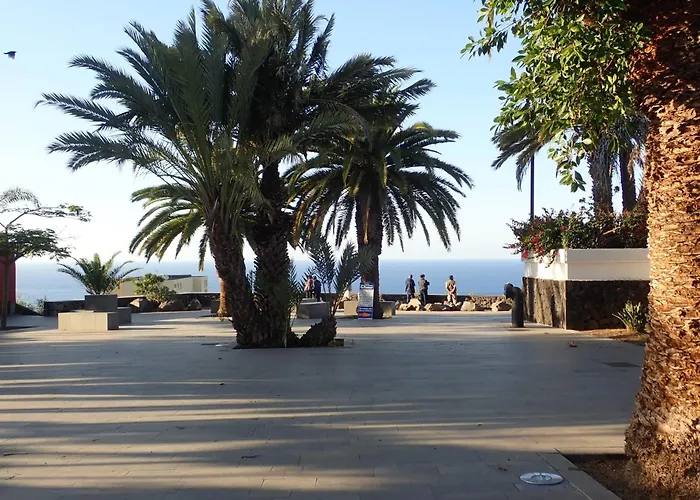 Chirping Birds&Teide View